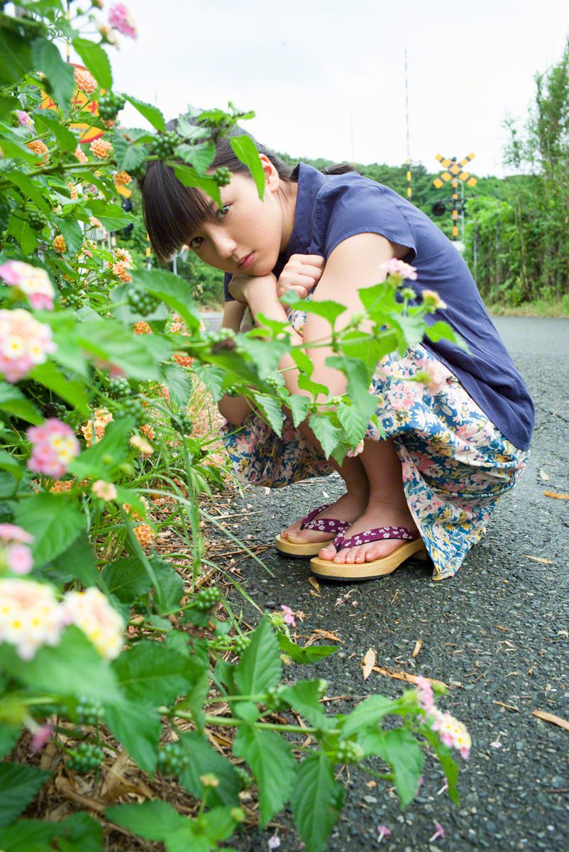 清新绪雨